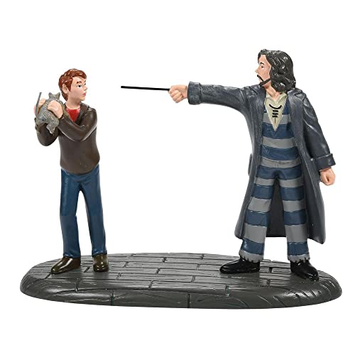 Department 56 Harry Potter Village Come Out and Play, Peter