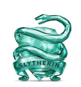 NEW Harry Potter Slytherin House Facets