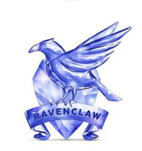 NEW Harry Potter Ravenclaw House Facets